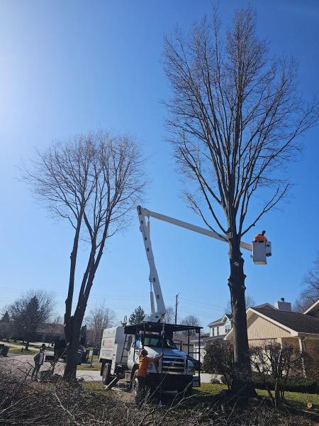 Reasonable Tree Experts