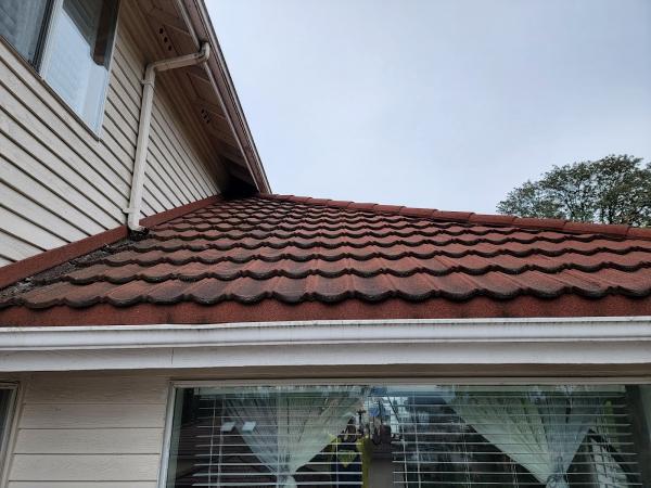 Soft Wash Roof Cleaning