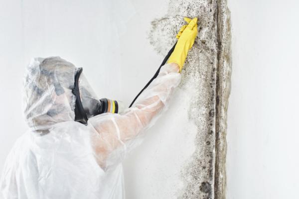 Miami Water Damage Restoration Services Inc