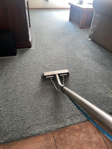 Davinci Carpet Cleaning