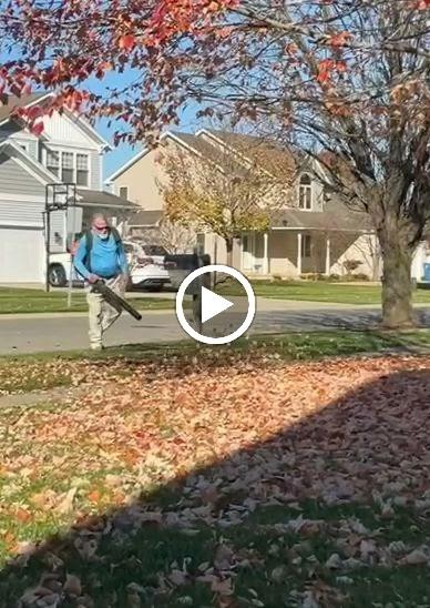 Thor Spot Lawn Care