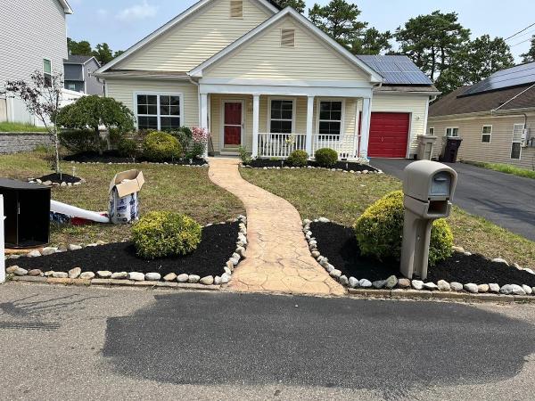 Maple Tree Service and Landscaping