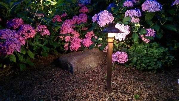 Firefly Landscape Lighting