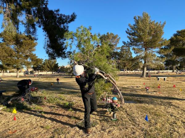 First Choice Tree Service