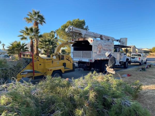 First Choice Tree Service