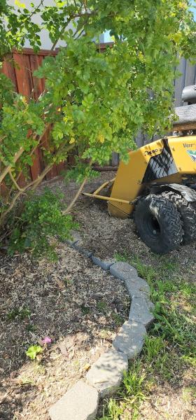 Silverstone Landscaping & Tree Service