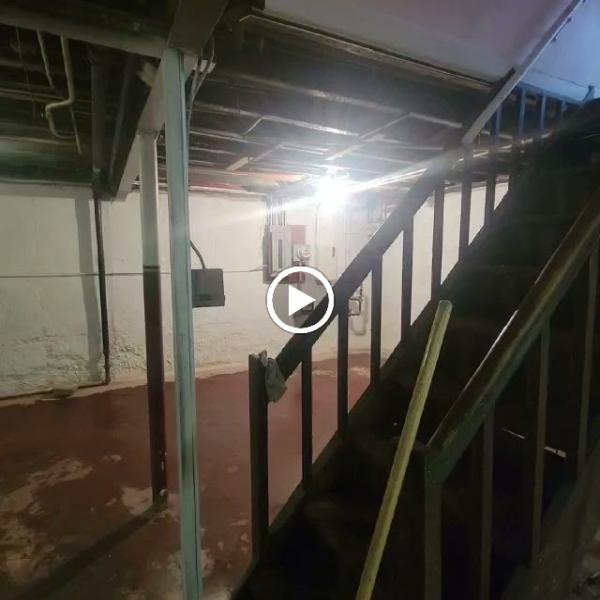 Crown Mold Specialists