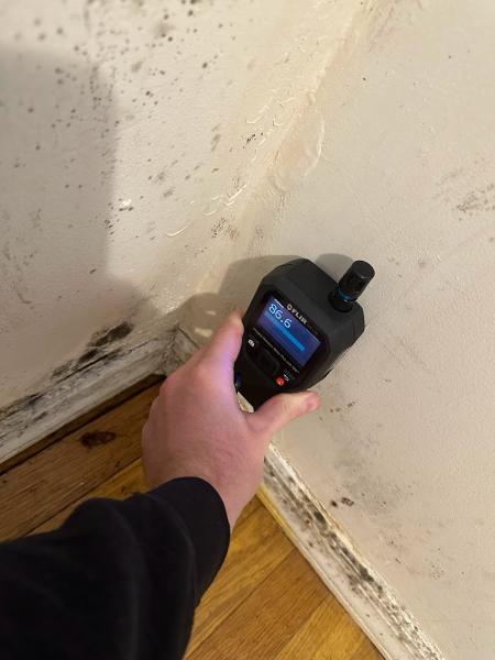 Crown Mold Specialists
