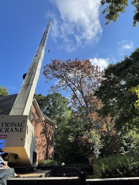 Justin's Tree Service