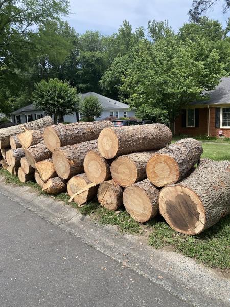 Justin's Tree Service