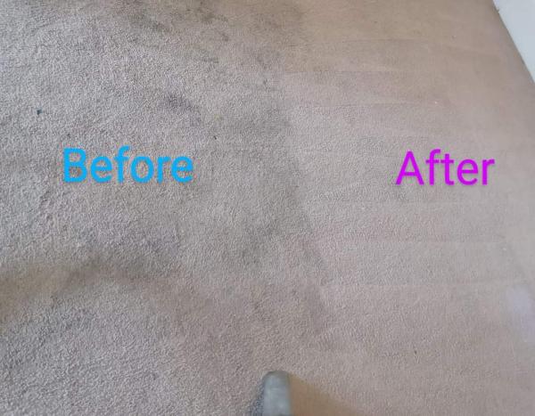 Muddy Paw's Carpet and Upholstery Cleaning