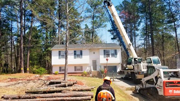 Gonzalez Tree Pros & Crane