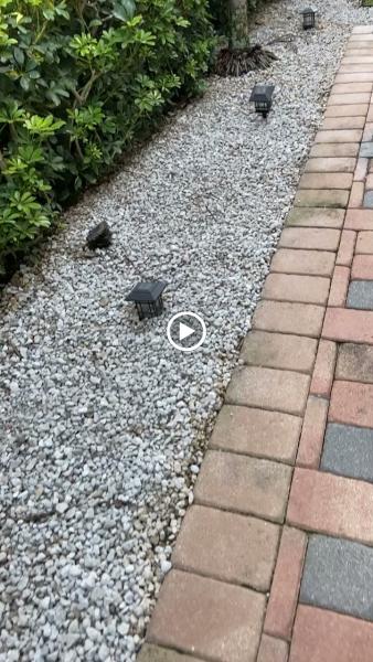 Garden Design Pros