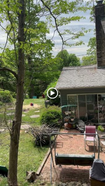 Solis Landscaping
