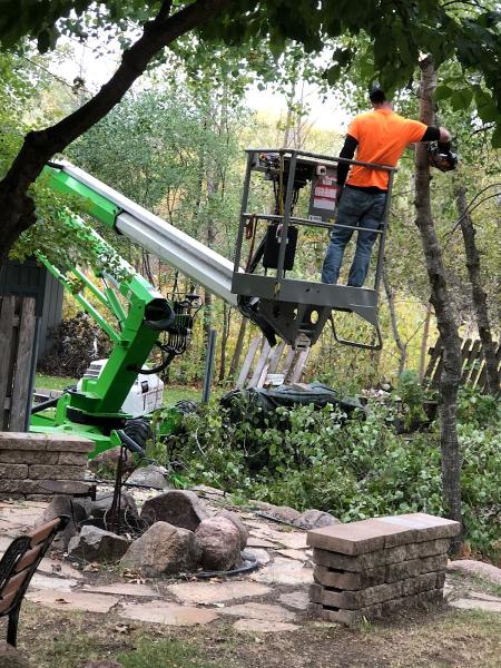 North Central Tree Service