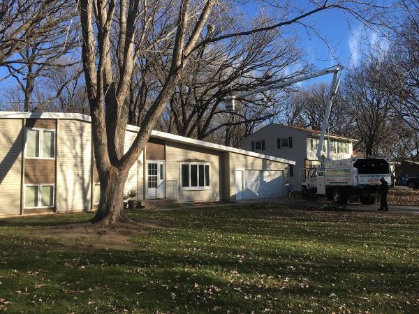North Central Tree Service