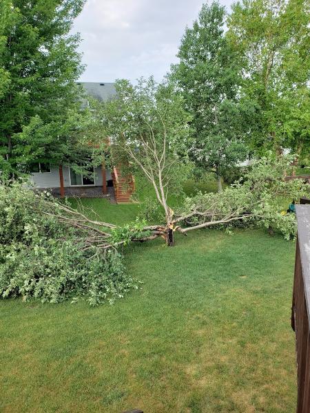 North Central Tree Service