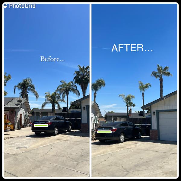 Quinones Tree Service