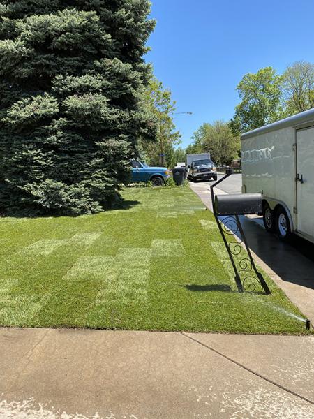 T&T Lawn and Landscaping