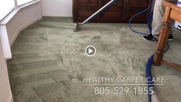 Healthy Carpet Care