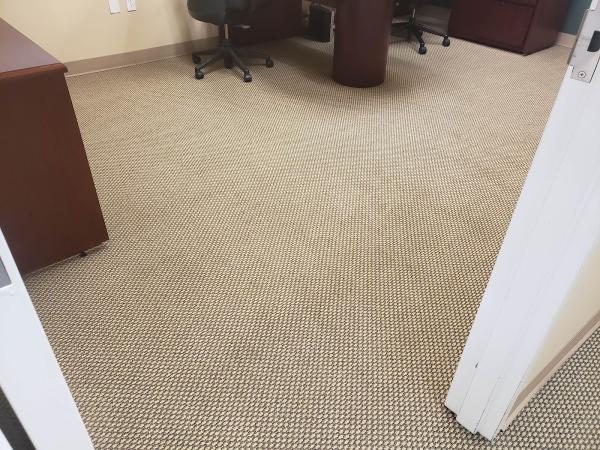 Healthy Carpet Care