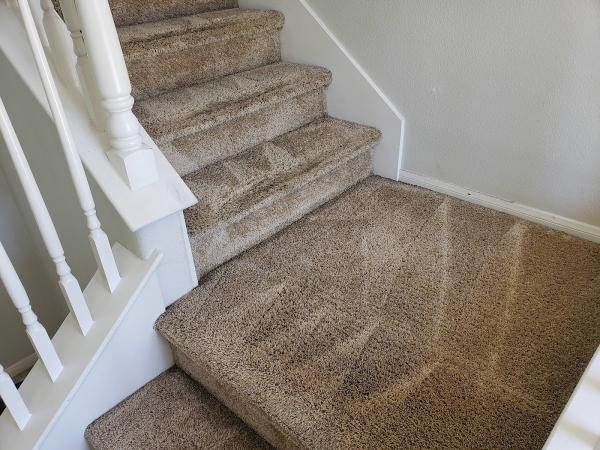 Healthy Carpet Care
