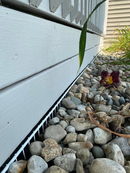 Ecopest Solutions