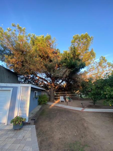 Brother´s Tree Service INC