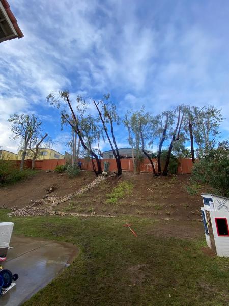 Brother´s Tree Service INC