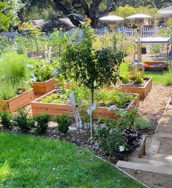 Modified Landscape Design