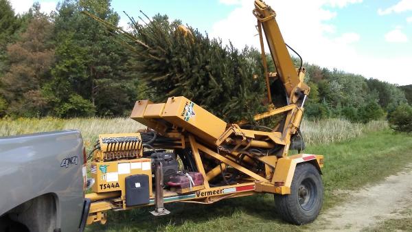 Pines On Paddock Tree Nursery & Transplant Service