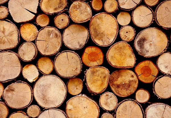 T.O. Mahaffey Tree & Timber Company
