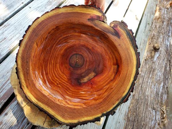 T.O. Mahaffey Tree & Timber Company