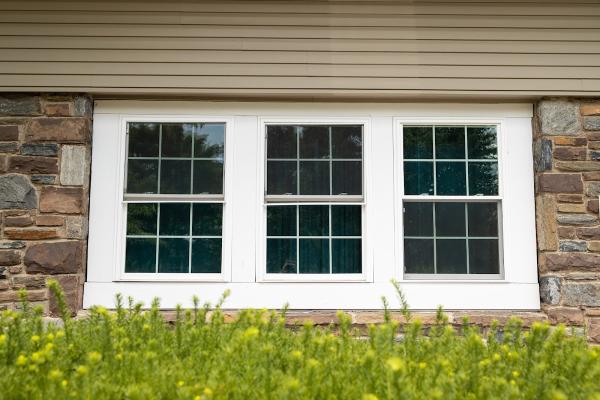 Smart Shield Windows