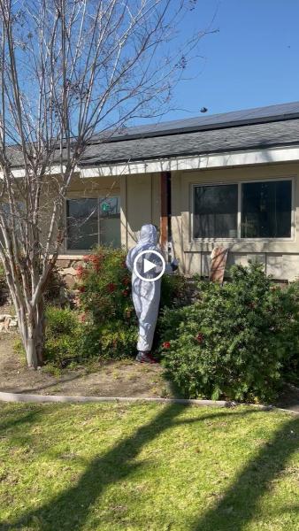 Old Towne Termite and Pest Control