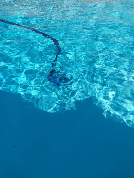 Phoenix Pool Service