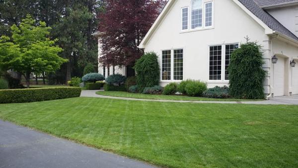 Clean Cut Grounds Company