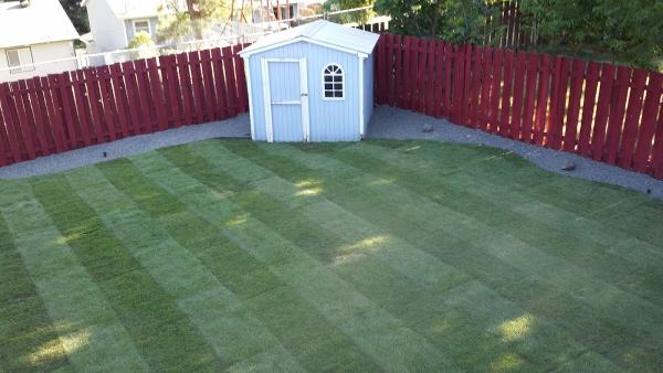 Clean Cut Grounds Company