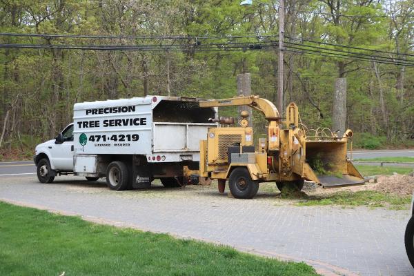 Precision Tree Service