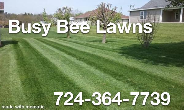 Busy Bee Lawn Care