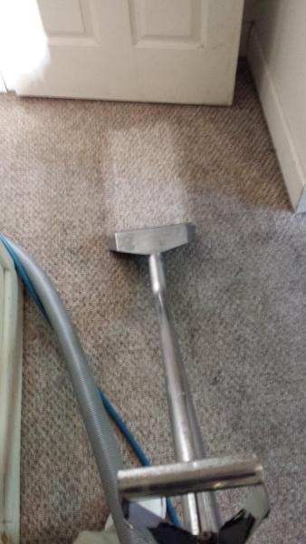 Gavin's Carpet Cleaning
