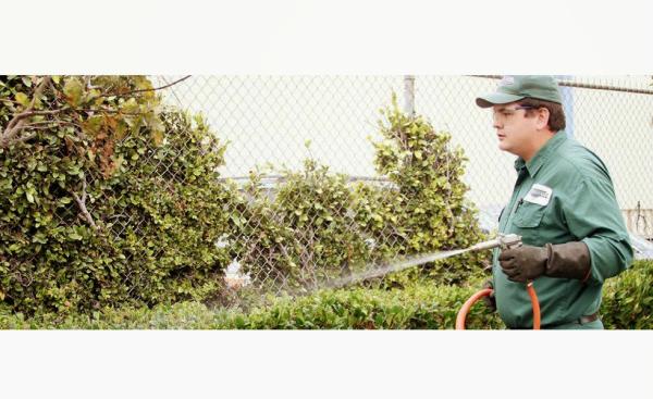 Performance Pest Management