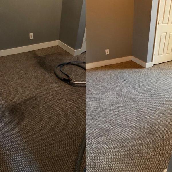 Kaufman Carpet Cleaning