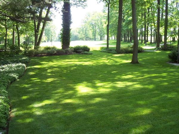 Casselli Lawn & Landscape Co.