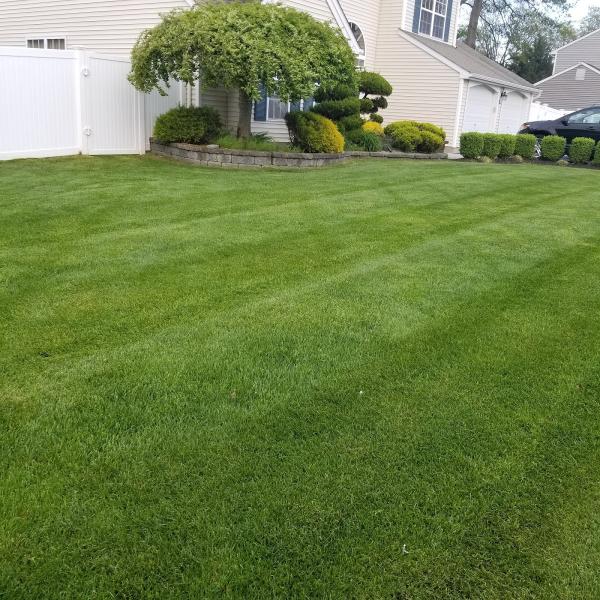 Casselli Lawn & Landscape Co.