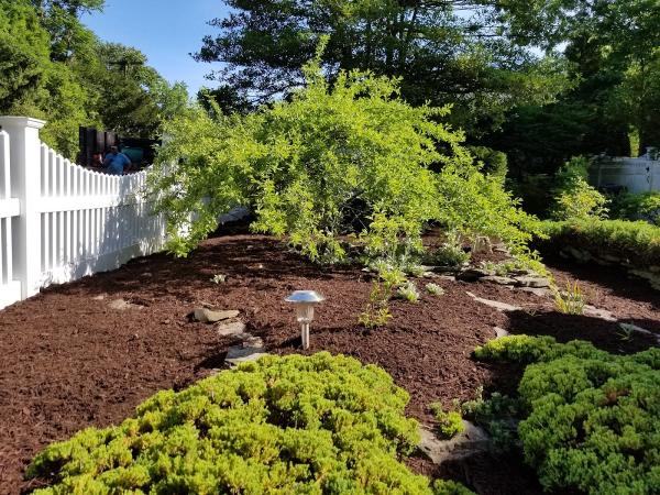 Casselli Lawn & Landscape Co.