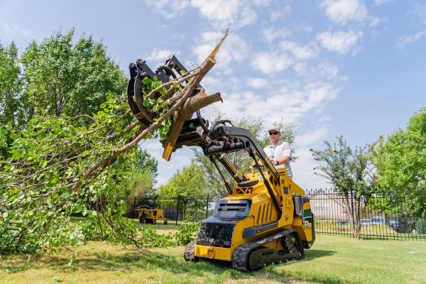 Urban Tree Services
