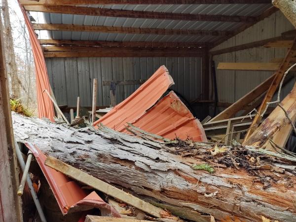 Arbaugh's Tree Services & Landscaping