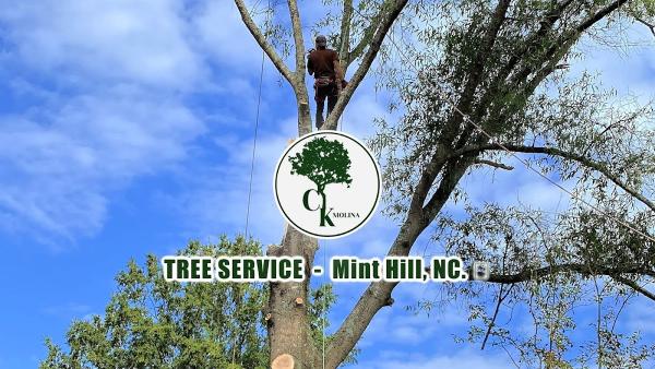 CK Molina Tree Service LLC