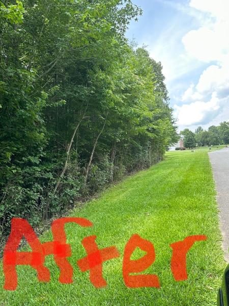CK Molina Tree Service LLC